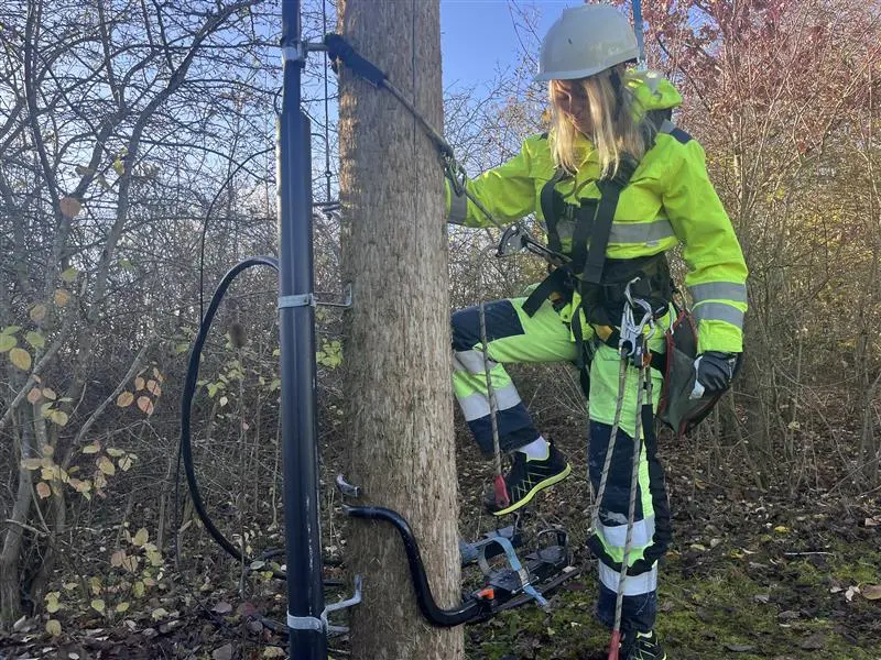 Li Ramneskog, studerande distributionselektriker klättrar i elstolpe.